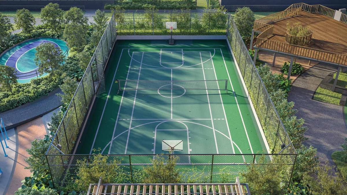 Multi-play sports court